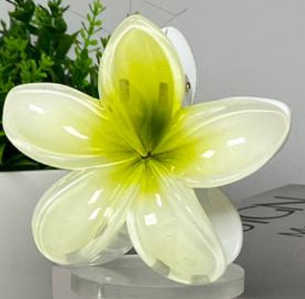 Hawaiian Claw Clip