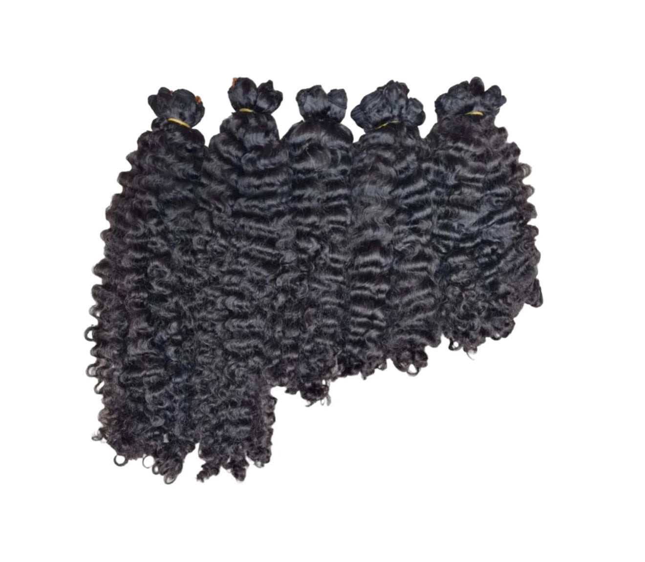 Raw Burmese Curly